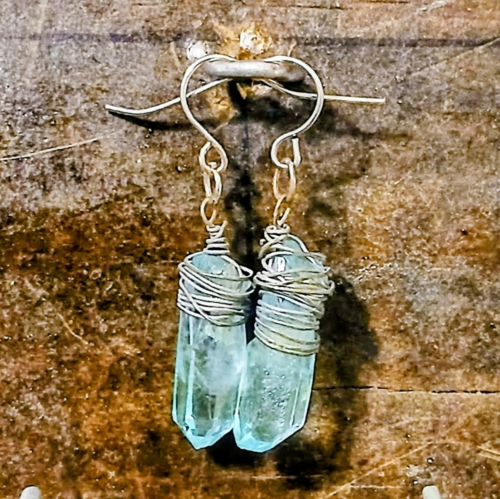 Elegant Silver and Blue Crystal Earrings